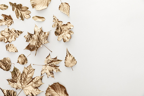 top view of golden foliage on white background with copy space