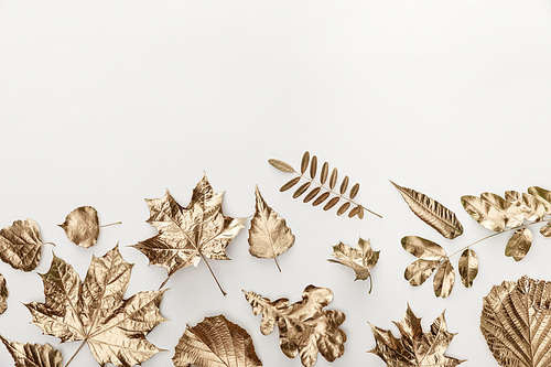 top view of golden painted foliage on white background with copy space