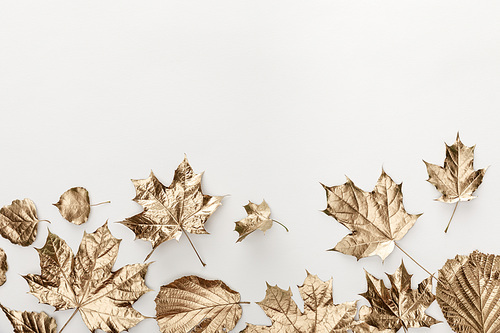 top view of golden leaves on white background with copy space
