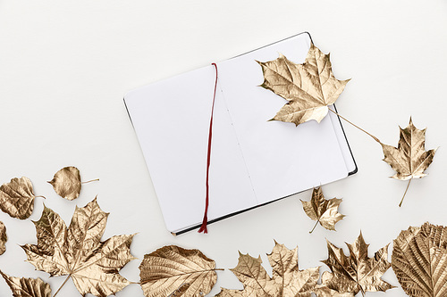 top view of golden leaves near blank notebook on white background