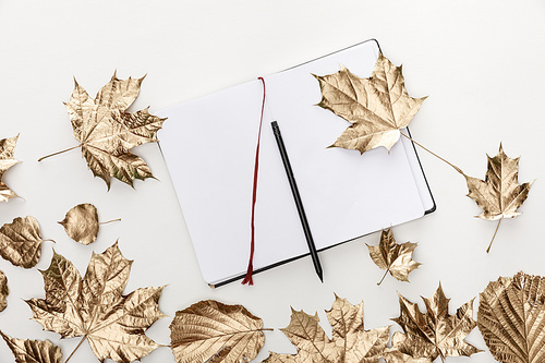 top view of golden foliage near blank notebook with pencil on white background