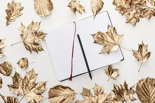 top view of golden foliage around blank notebook with pencil on white background