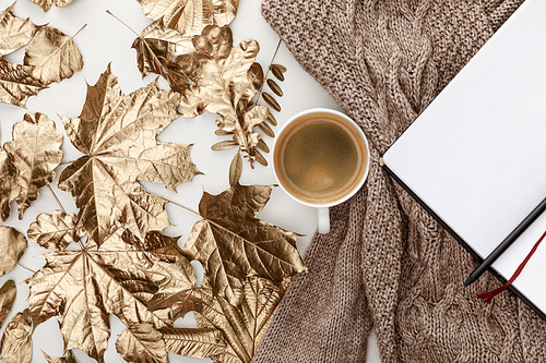 top view of knitted brown sweater, coffee, blank notebook and golden foliage on white background