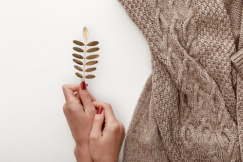 cropped view of woman holding golden leaf near knitted brown sweater on white background