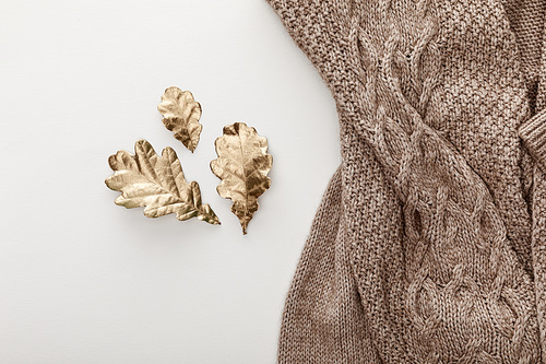 top view of knitted brown sweater and golden leaves on white background