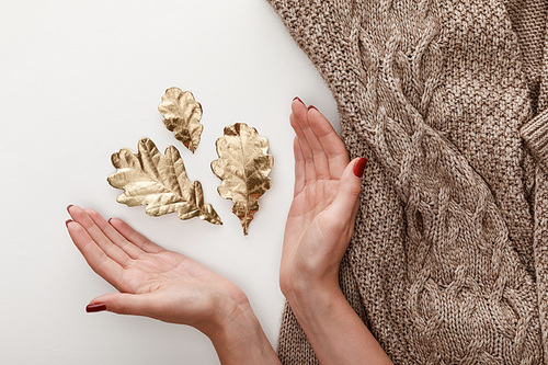 cropped view of female hands near golden leaves and knitted brown sweater on white background