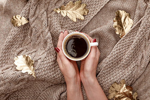 partial view of woman holding mug with coffee on knitted brown sweater with golden leaves