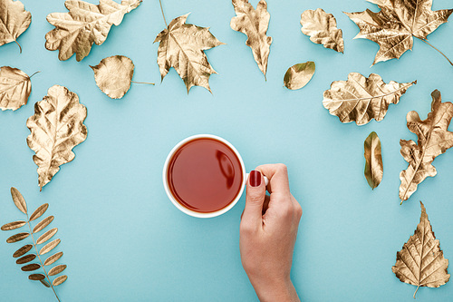 cropped view of woman holding tea in mug near golden foliage on blue background