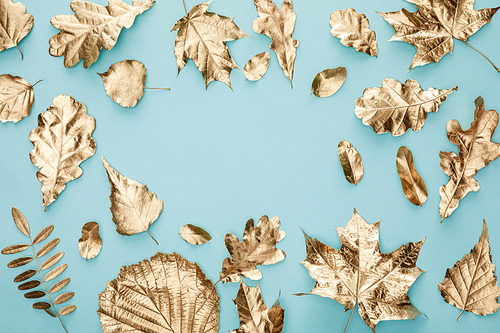 top view of painted autumnal golden leaves on blue background