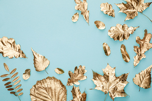 top view of autumnal golden leaves on blue background with copy space