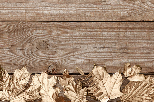 top view of golden leaves on wooden textured background