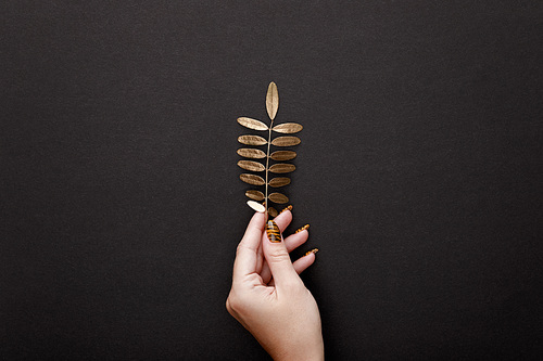 cropped view of woman holding golden leaf on black background