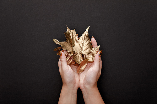 partial view of woman holding golden foliage in hands on black background