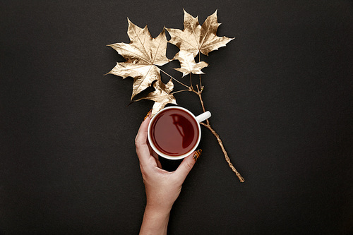 cropped view of woman holding tea in mug near golden maple leaves on black background