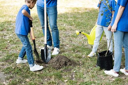 cropped view of mother and daughter holding young tree and watering can while father and son digging ground, ecology concept