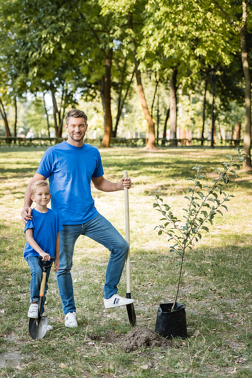 father and son standing near young tree with shovels, ecology concept