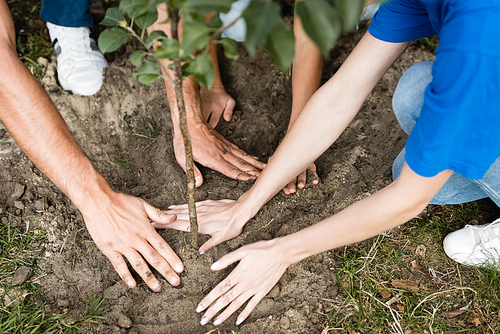 cropped view of volunteers family planting young tree, ecology concept