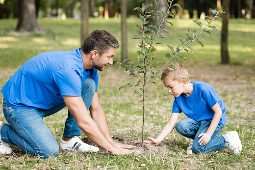 side view of father and son planting young tree in park, ecology concept