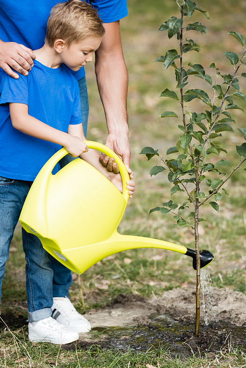 partial view of boy with father watering young tree planted in park, ecology concept