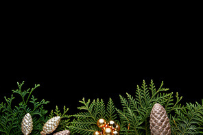 top view of shiny golden Christmas decoration, green thuja branches isolated on black with copy space