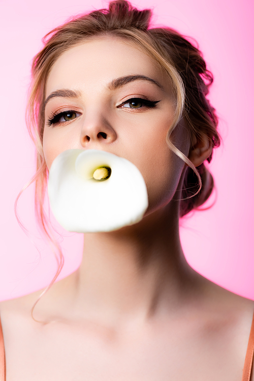 beautiful blonde woman holding calla flower in mouth isolated on pink