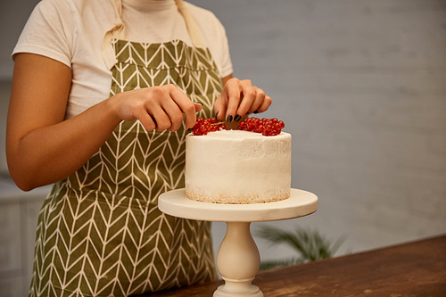 Cropped view of confectioner decorating sponge cake with fresh redcurrant