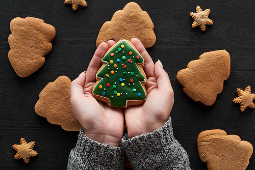 cropped view of woman holding Christmas tree cookie in hands