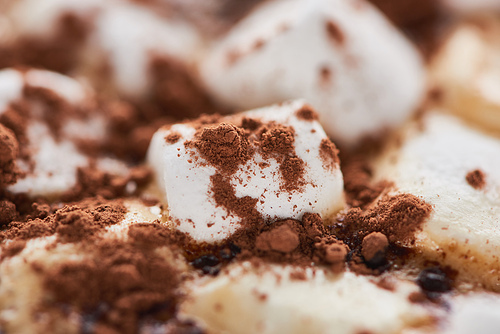 close up view of cacao with marshmallow and cacao powder