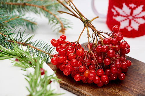 viburnum berries and christmas pie on white wooden table with spruce branches