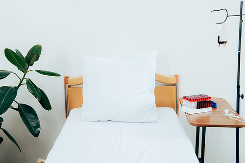 bed with pillow, green plant, packed cells and blood test tubes in hospital ward