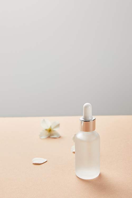 selective focus of cosmetic glass bottle with serum near jasmine flowers on beige isolated on grey