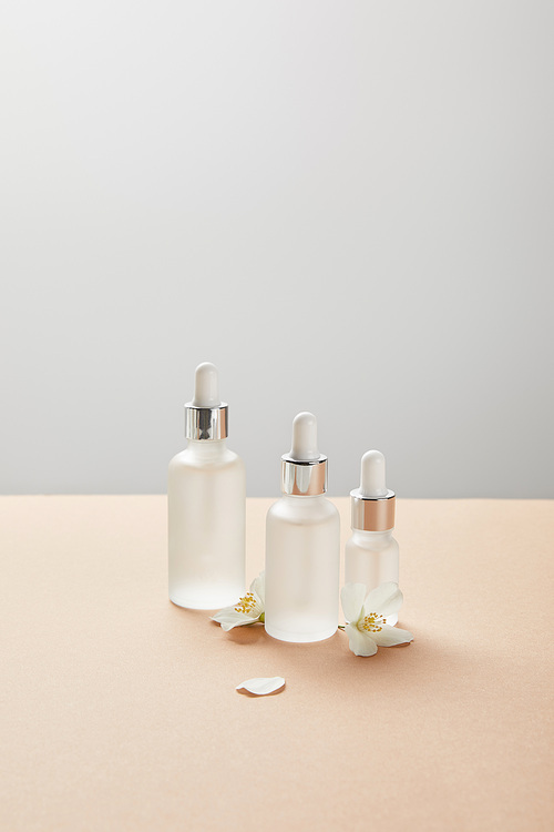 cosmetic glass bottles and few jasmine flowers on beige isolated on grey