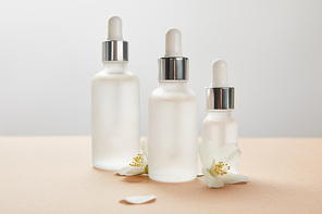 three cosmetic glass bottles with serum and few jasmine flowers with shadow on beige