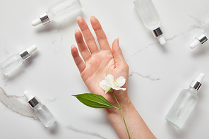 cropped view of woman hand with jasmine near cosmetic glass bottles on white surface