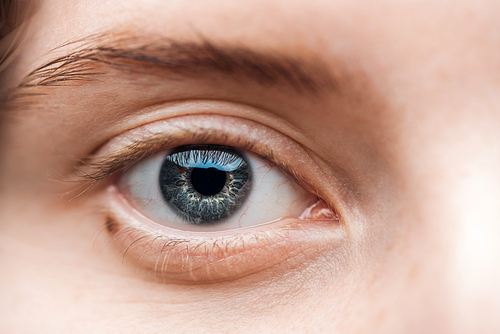 close up view of young woman blue eye with eyelashes and eyebrow