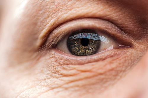 close up view of senior man eye with eyelashes and eyebrow