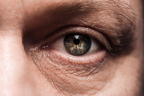 close up view of mature man eye with eyelashes and eyebrow