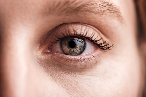 close up view of young woman grey eye with eyelashes and eyebrow
