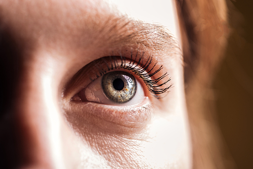 close up view of young woman grey eye with eyelashes and eyebrow looking away