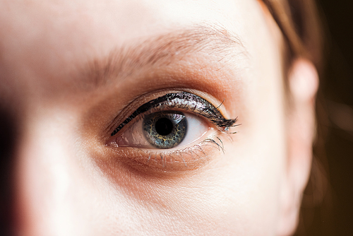 close up view of young woman eye with eyelashes and eyebrow