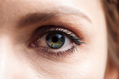 close up view of young woman green eye with eyelashes and eyebrow