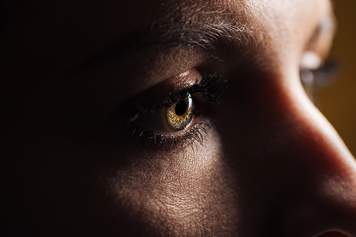 close up view of adult woman eye with eyelashes and eyebrow looking away in dark