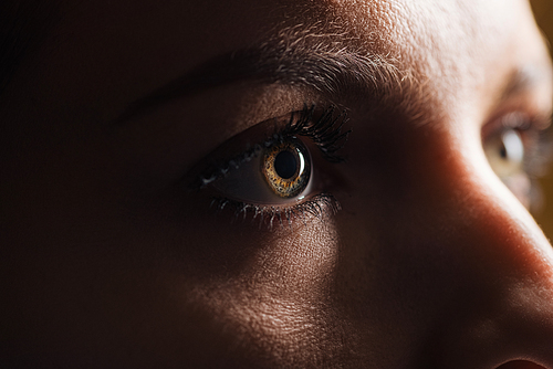 close up view of adult woman eye looking away in darkness
