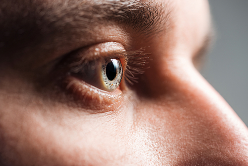 close up view of adult man eye looking away