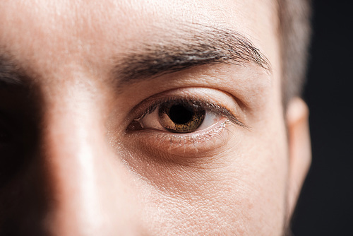 close up view of adult man brown eye with eyelashes and eyebrow  isolated on black