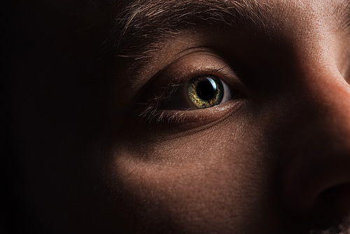 close up view of man eye with eyelashes and eyebrow looking away in darkness