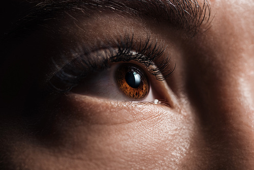 close up view of adult woman brown eye looking away in darkness