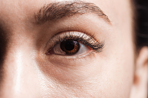 close up view of young woman brown eye with eyelashes and eyebrow
