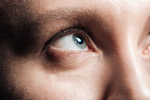close up view of young woman grey eye looking away