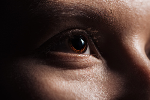 close up view of human brown eye looking away